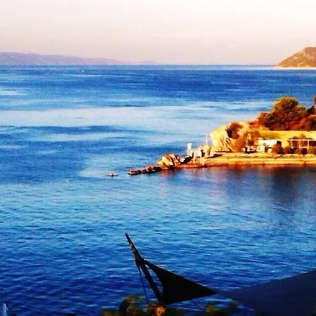 Design Bacvice Arti Frühstückspension Split