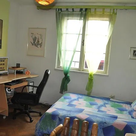 Design Bacvice Arti Сплит